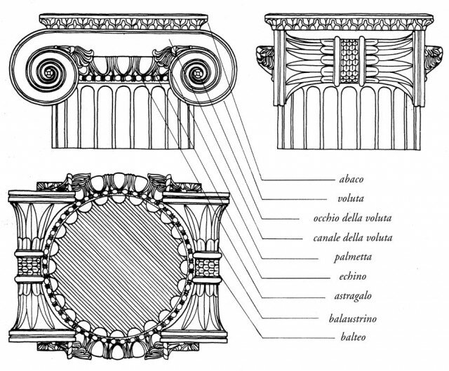 Capitello a volute orizzontali (in Rocco G., Guida alla lettura degli ordini architettonici antichi. Vol. 2: Lo ionico, 2003, p. 23).