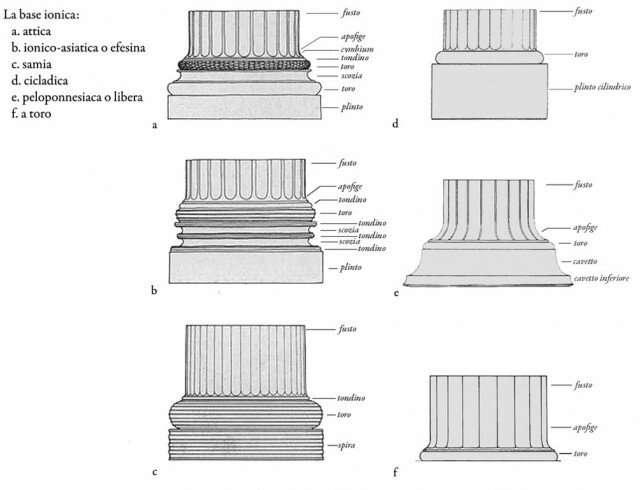 Le diverse forme della base ionica. (Elaborazione grafica da Rocco, 2003).